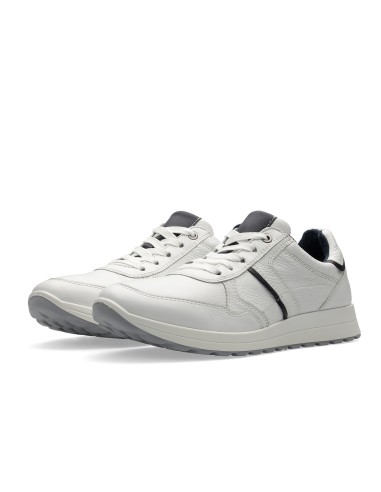 MATTEO 2.0   11-24502-14